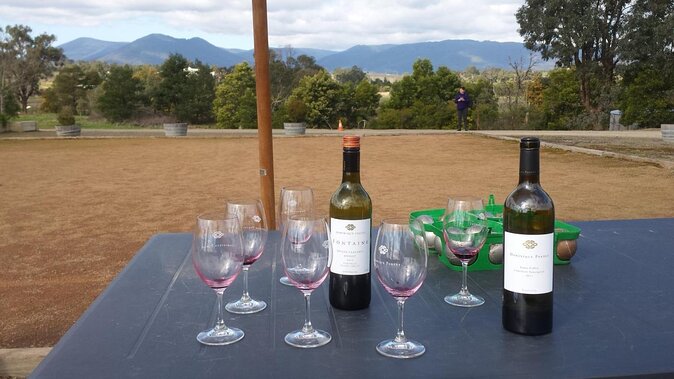 Yarra Valley Grazing Tour With Champagne Brunch at Chandon - Accessibility and Transportation