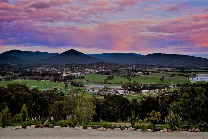Yarra Valley Small-Group Wine Tour With 2 Course Lunch - Experience Highlights