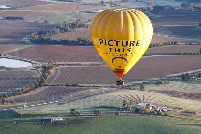 Yarra Valley Sunrise Balloon Flight & Champagne Breakfast - Drift Over Scenic Yarra Valley