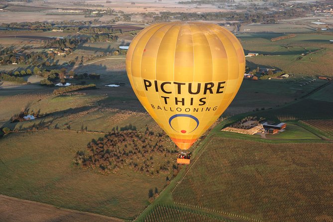 Yarra Valley Sunrise Balloon Flight & Champagne Breakfast - Private Transportation and Breakfast Included