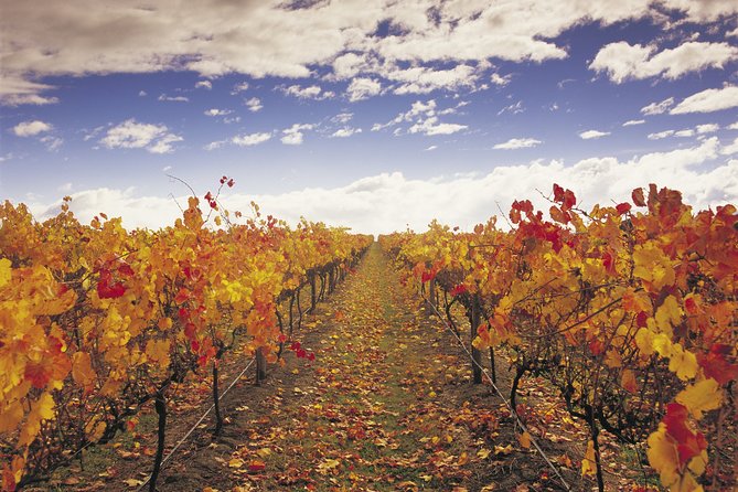 Yarra Valley Wildlife & Wine Day Tour From Melbourne With Healesville Sanctuary - Cheese and Wine Pairing