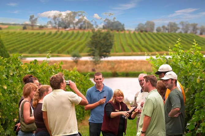 Yarra Valley Wine and Winery Tour From Melbourne - Transportation and Pickup