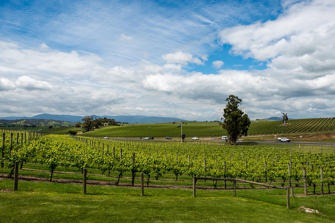 Yarra Valley Wine and Winery Tour From Melbourne - Tour Duration and Size