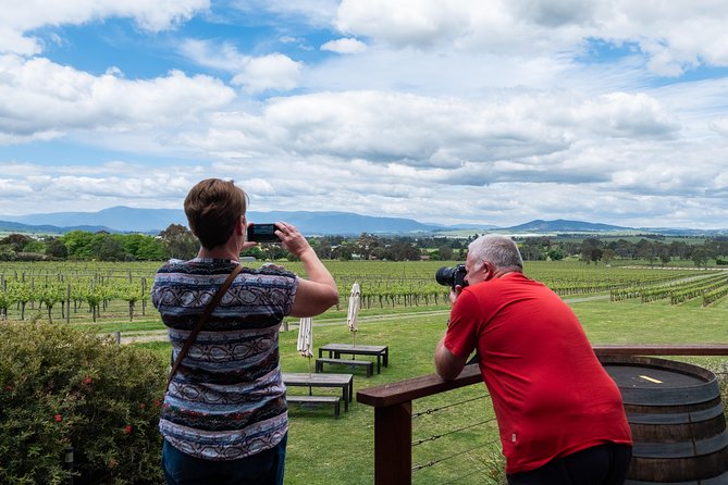Yarra Valley Wine and Winery Tour From Melbourne - Reviews and Ratings