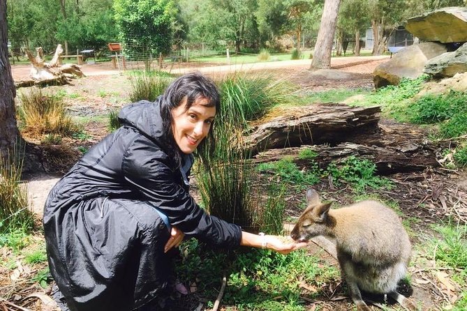 Yarra Valley Wine, Food and Wildlife Private Tour - Tour Type