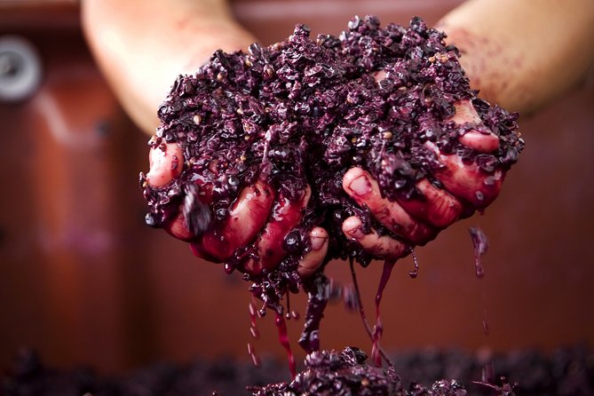 Yarra Valley Wine Tasting Tour From Melbourne - Chocolate Tasting Session