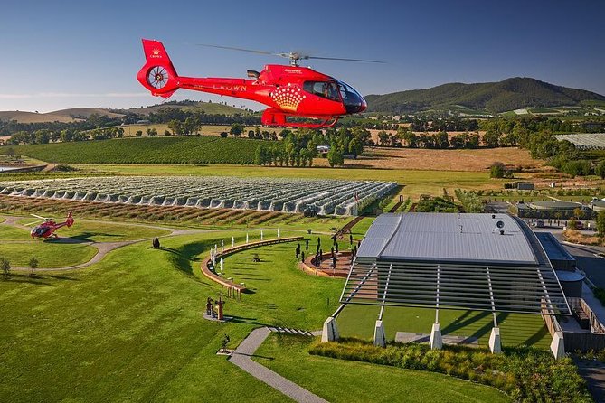 Yarra Valley Wine & Wildlife - Private Regional Tour - Accessibility and Additional Information