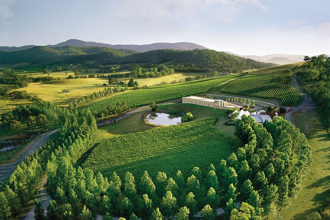 Yarra Valley Wineries Private Day Tour - Reviews