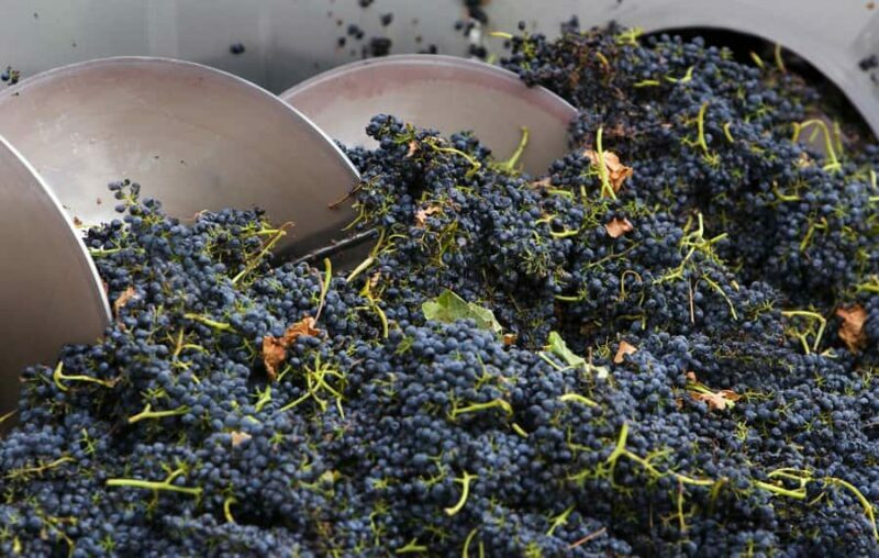 Yarra Valley: Winery Tour with Lunch at Yering Station - Key Points