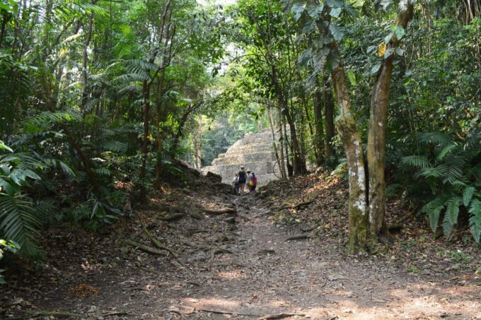 Yaxchilan & Bonampak Ruins and Lacandon Jungle From Palenque - Cancellation Policy