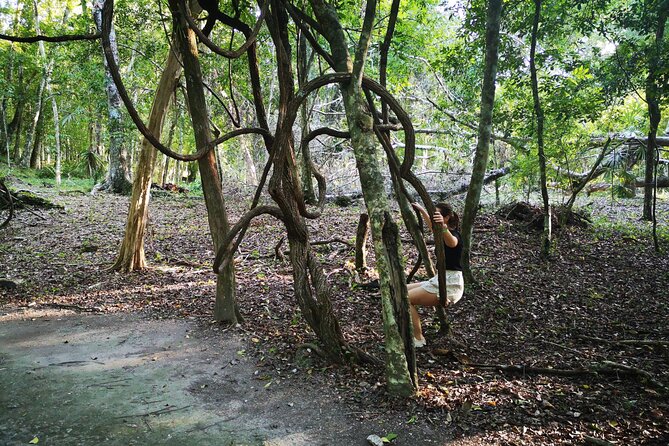 Yaxha Archaeological Focus Day Tour With Monkeys Spotting - Notable Locations
