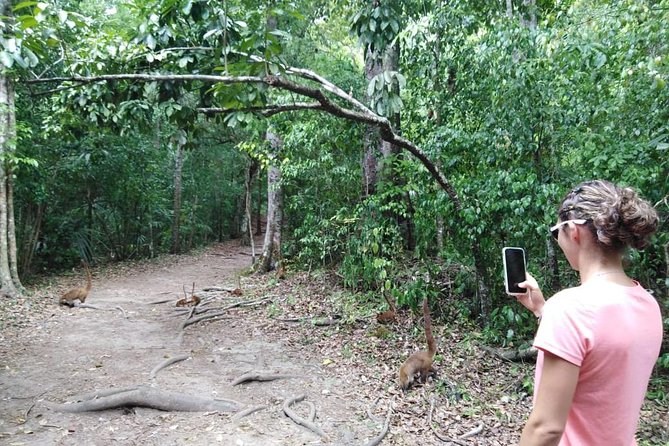 Yaxha VIP Exclusive Tour From Flores Guatemala - Tour Overview