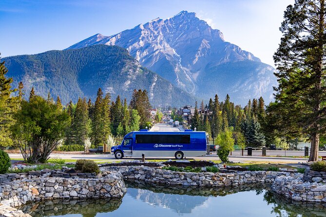 Year Round Tour: Banff and Its Wildlife - Discovering Natural Wonders Near Banff