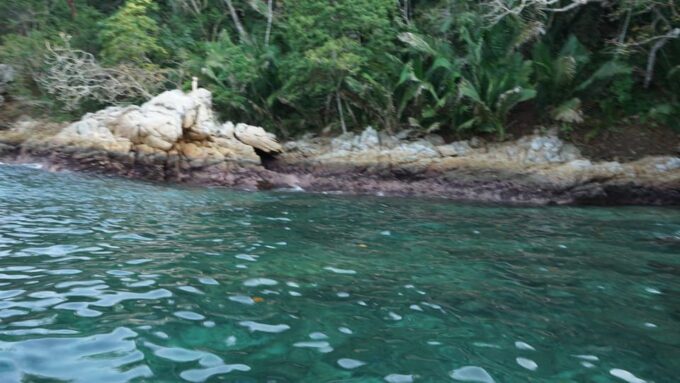 Yelapa All Inclusive Tour - Reservation Options