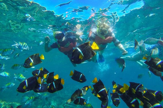 Yelapa Beach & Snorkel Tour Aboard a Luxury Yacht -Private Groups - Explore Yelapa Beach