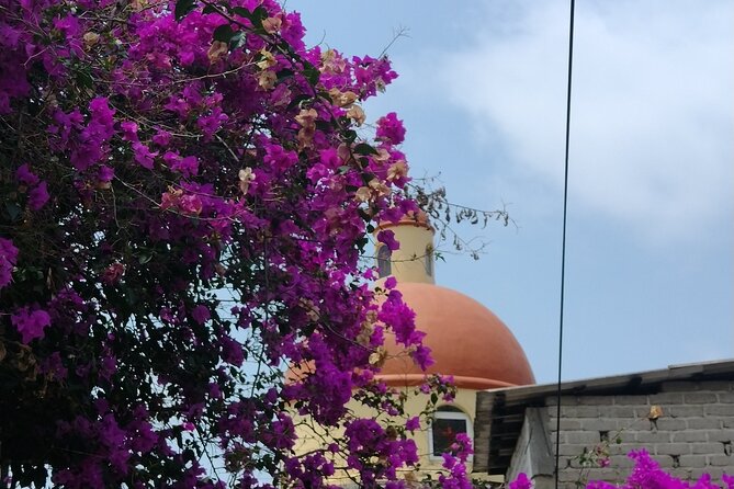 Yelapa Escape - Meeting and Pickup Details