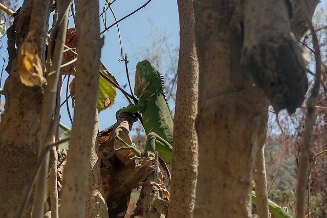 Yelapa Escape - Traveler Reviews and Ratings