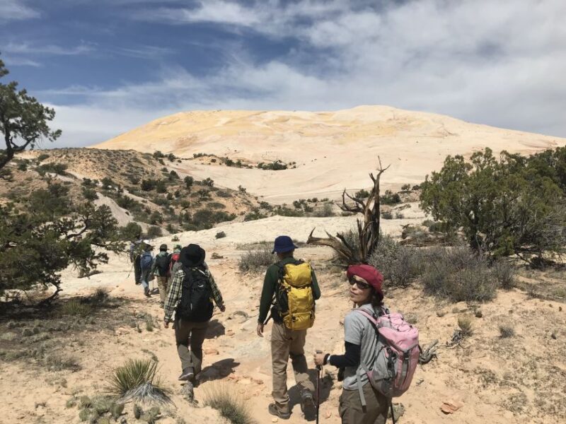 Yellow Rock, Utah: Advanced Hiking Tour - Inclusions