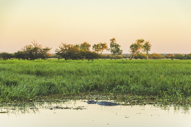 Yellow Water Cruise - Kakadu - Cruising Yellow Water Billabong