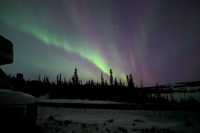 Yellowknife Aurora Hunting Tours by Bus - Authentic Insights from Reviews