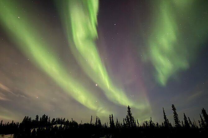 Yellowknife Aurora Hunting Tours by Bus - Practical Considerations for Travelers