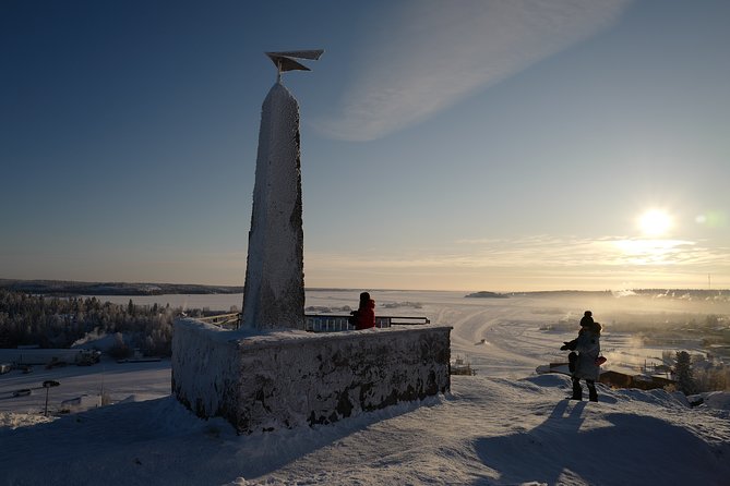 Yellowknife City Tour + Natures North Wildlife Gallery - Confirmation and Accessibility