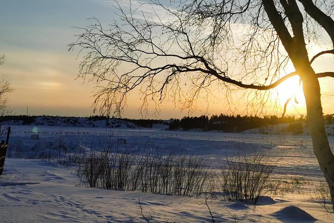 Yellowknife City Tour + Natures North Wildlife Gallery - Group Size