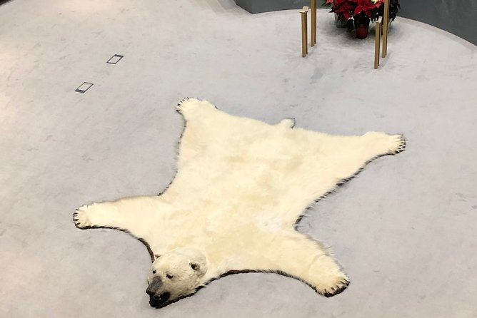 Yellowknife City Tour + Natures North Wildlife Gallery - Highlights of the Tour