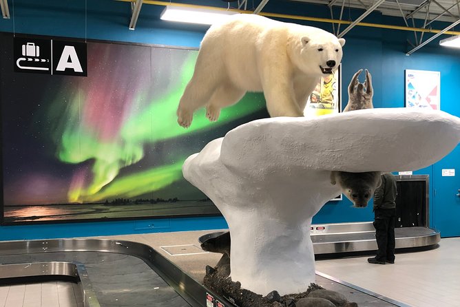 Yellowknife City Tour + Natures North Wildlife Gallery - Amenities on Board