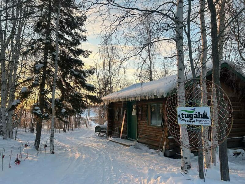 Yellowknife: Indigenous Dog Sledding Experience - Authenticity and Cultural Connection