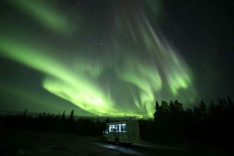 Yellowknife: Northern Lights Chasing Tour by Bus - Group Size and Language Services