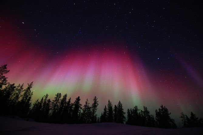 Yellowknife Tours - Aurora by Bus - Reviews