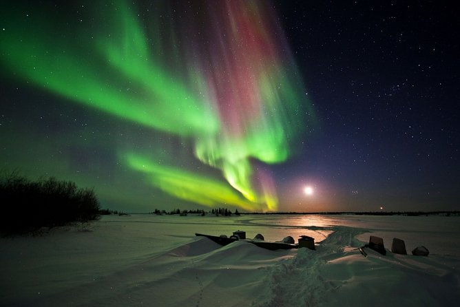 Yellowknife Tours - Aurora by Bus - Tour Highlights