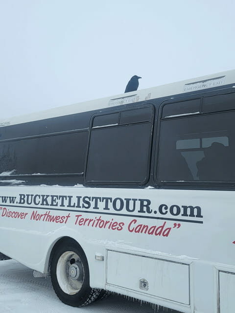 Yellowknife: Wild Bison Highway Tour - The Sum Up: Is It Worth It?