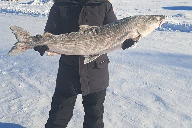 Yellowknife Winter 5 Days 4 Nights: Aurora and Day Activities - Who Is This Tour Best For?