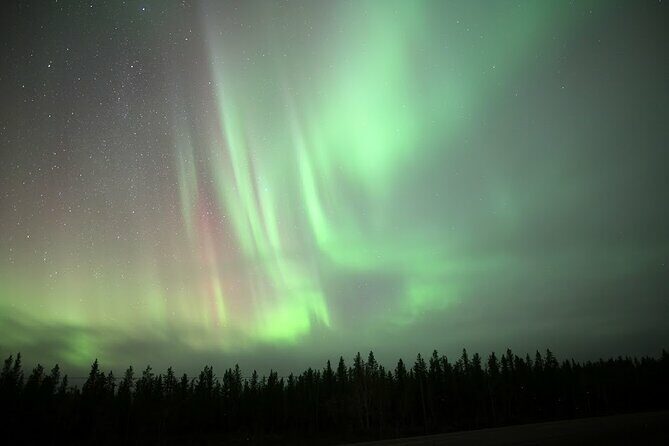 Yellowknife Winter 5 Days 4 Nights: Aurora and Day Activities - Final Thoughts