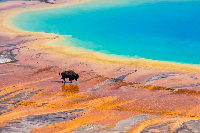 Yellowstone and Grand Teton 5 Day Tour From Salt Lake City - Key Points