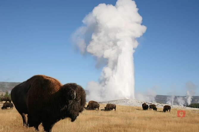 Yellowstone and Grand Teton Audio Driving Tour - Flexible Routes and Itineraries
