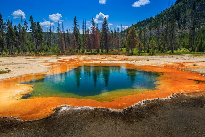 Yellowstone and Grand Teton National Parks Wildlife Adventure (2 Day/1 Night) - Additional Information