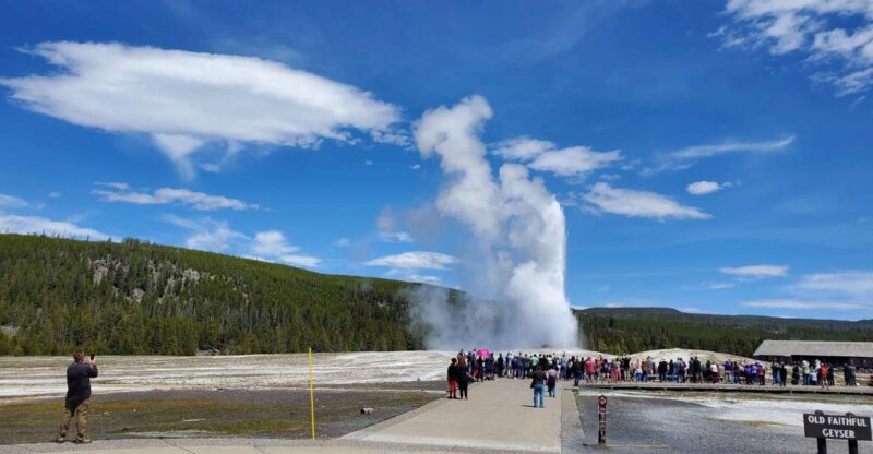 Yellowstone: Bespoke Photo Tour - Winter - Wildlife Viewing