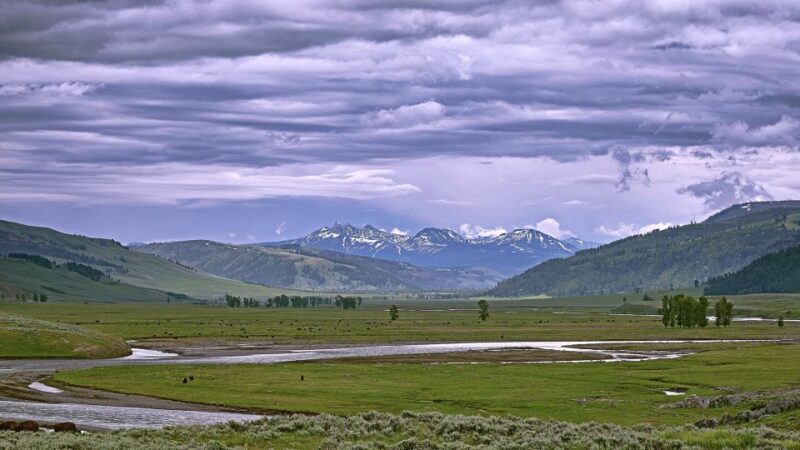 Yellowstone: Bespoke Photo Tour - Winter - Additional Information