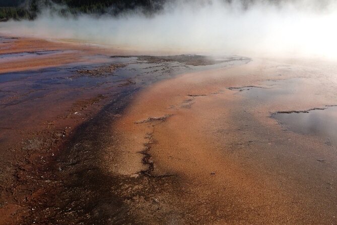 Yellowstone For Kids All-inclusive"Family Fun" Tours PU Cody Wy - Accessibility and Participation
