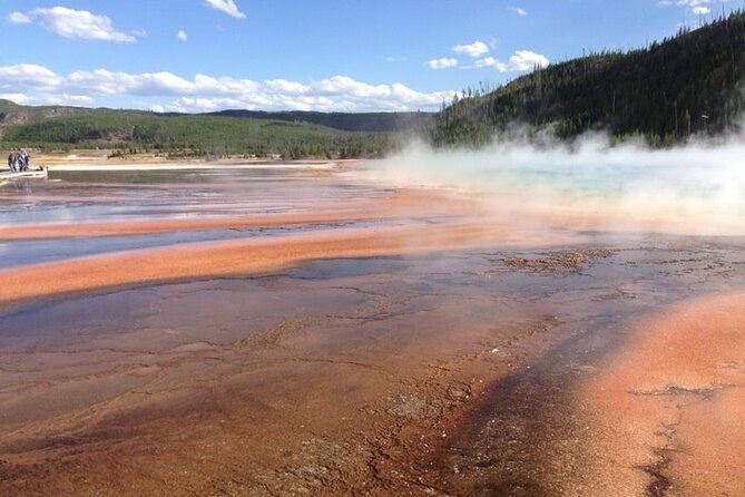 Yellowstone For Kids All-inclusive"Family Fun" Tours PU Cody Wy - Pricing and Reservations