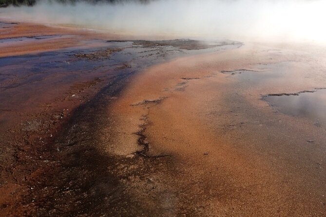 Yellowstone for Kids Family Fun Tour W/Pu in West Yellowstone - Knowledgeable and Friendly Guides
