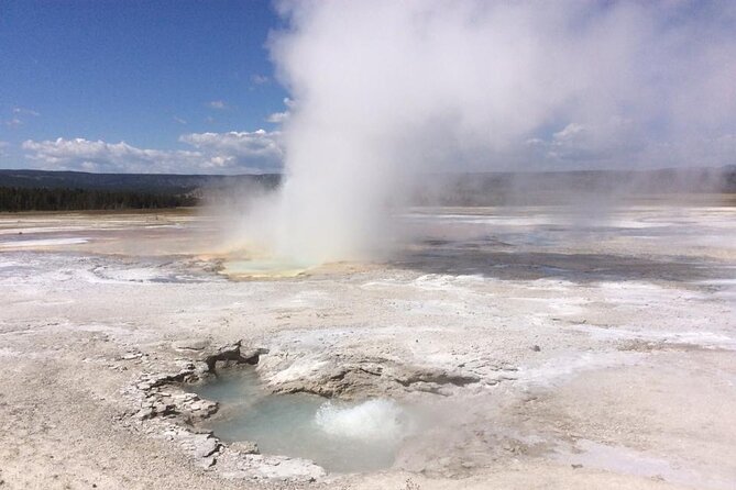 Yellowstone for Kids Family Fun Tour W/Pu in West Yellowstone - Accessibility and Participation