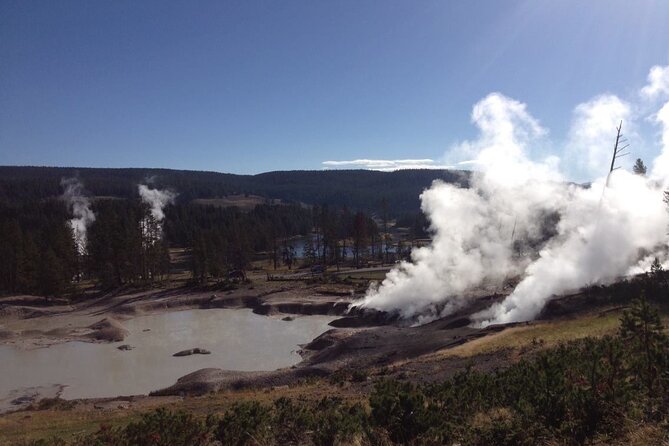 Yellowstone for Kids Family Fun Tour W/Pu in West Yellowstone - Knowledgeable and Friendly Guides