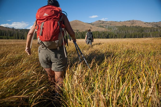 Yellowstone Full Day Private Hike - Included in the Package