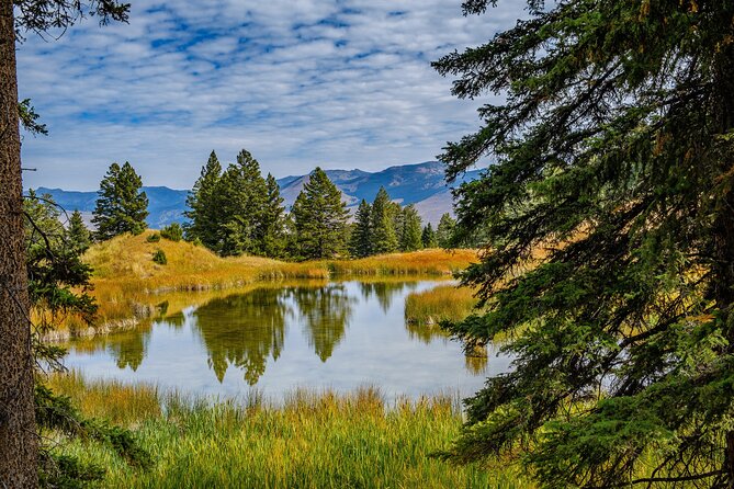 Yellowstone Full Day Private Hike - Private Tour Exclusivity