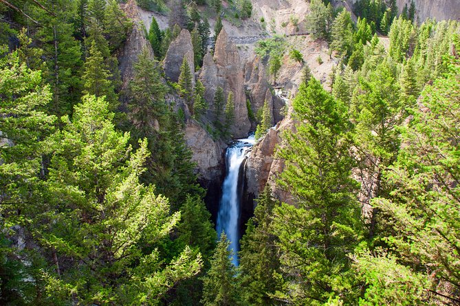 Yellowstone Full Day Private Tour - Pickup and Meeting Location