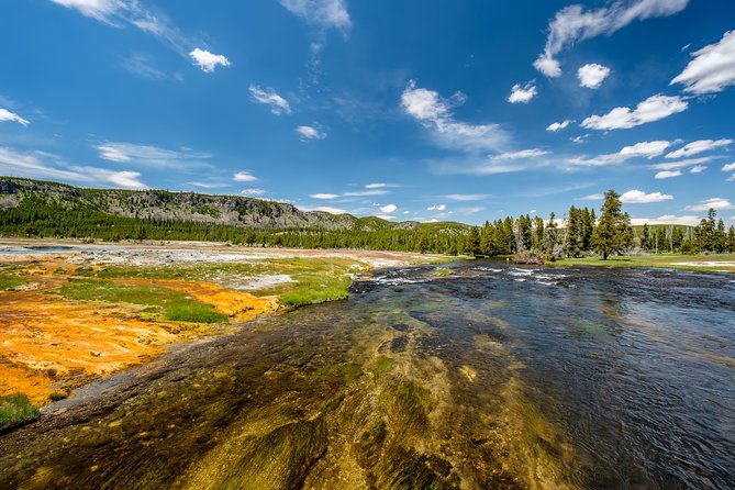 Yellowstone Full Day Private Tour - Winter Tour Highlights